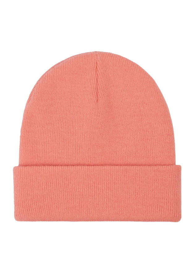 DICKIES GIBSLAND BEANIE