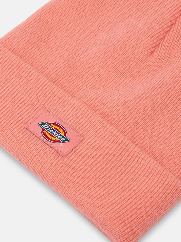 DICKIES GIBSLAND BEANIE