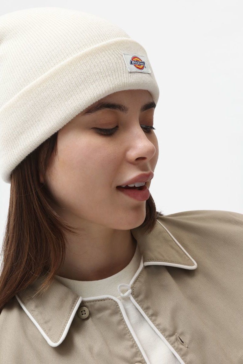 DICKIES GIBSLAND BEANIE