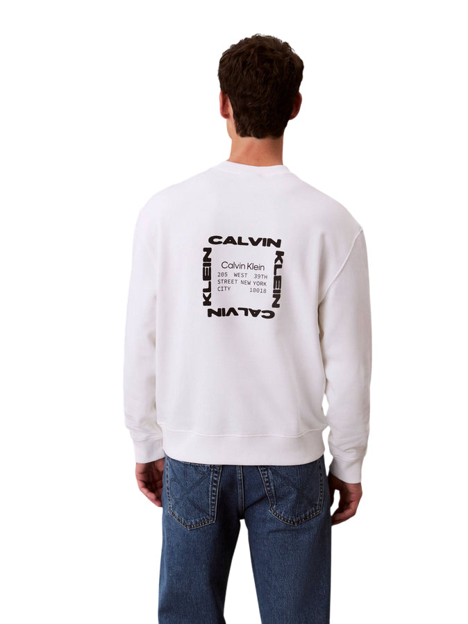 CALVIN KLEIN LS EU 350 TERRY GRAPHIC CN SWTSHR