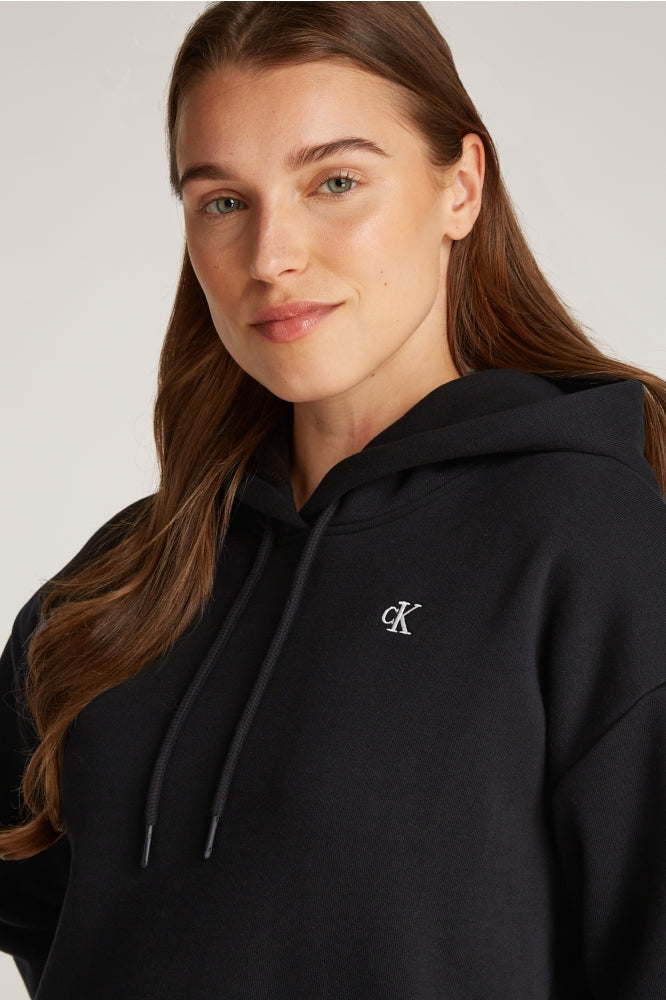 CALVIN KLEIN SCRIPT INSTITUTIONAL RLX HOODIE