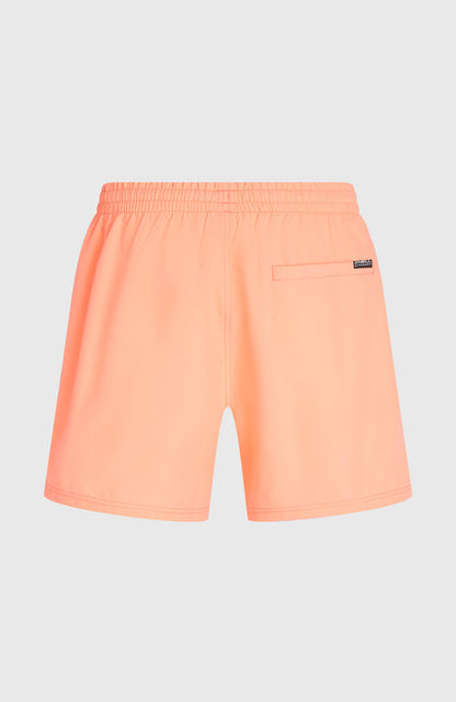 ONEILL LOGO 16 SWIMSHORTS