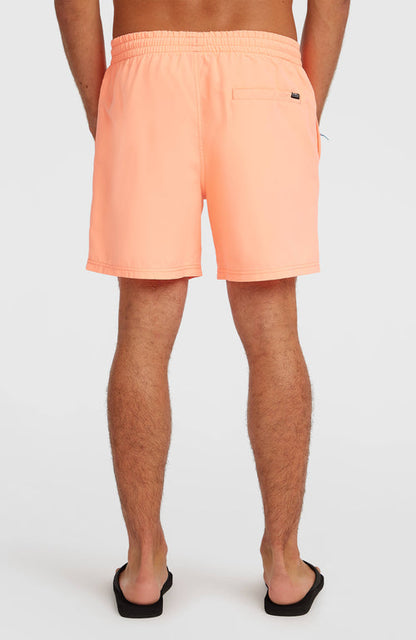 ONEILL LOGO 16 SWIMSHORTS