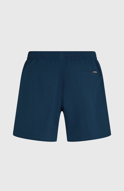 ONEILL LOGO 16 SWIMSHORTS