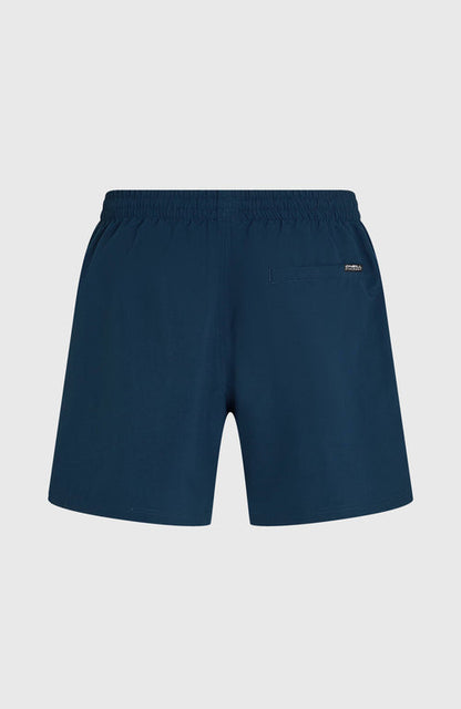 ONEILL LOGO 16 SWIMSHORTS