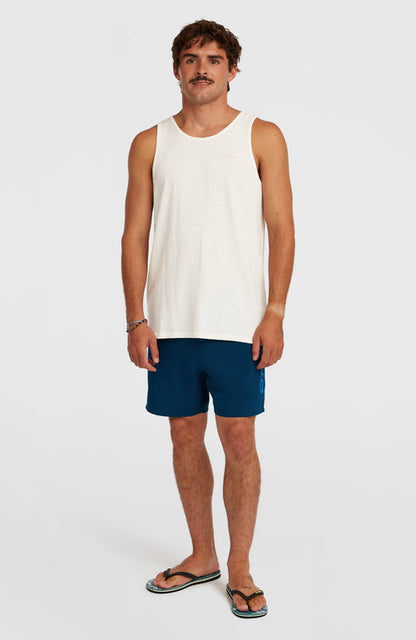 ONEILL LOGO 16 SWIMSHORTS