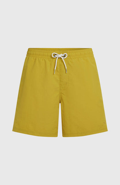 ONEILL VERT 16 SWIMSHORTS