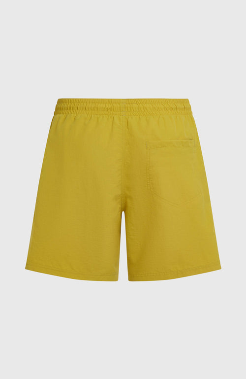 ONEILL VERT 16 SWIMSHORTS