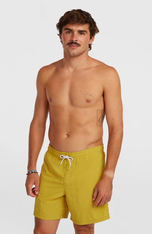 ONEILL VERT 16 SWIMSHORTS
