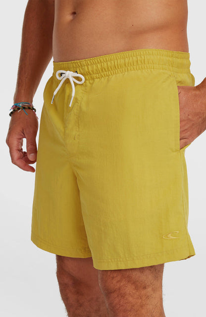 ONEILL VERT 16 SWIMSHORTS