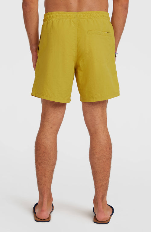 ONEILL VERT 16 SWIMSHORTS