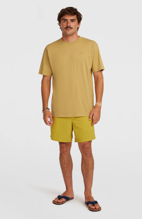 ONEILL VERT 16 SWIMSHORTS