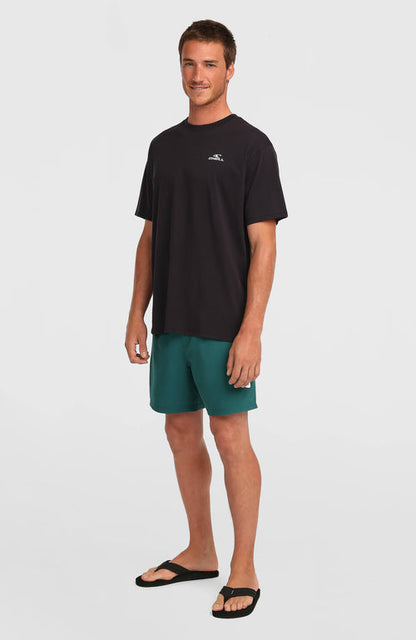 ONEILL SMALL LOGO T-SHIRT