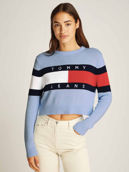TOMMY JEANS CENTER FLAG SWEATER EXT