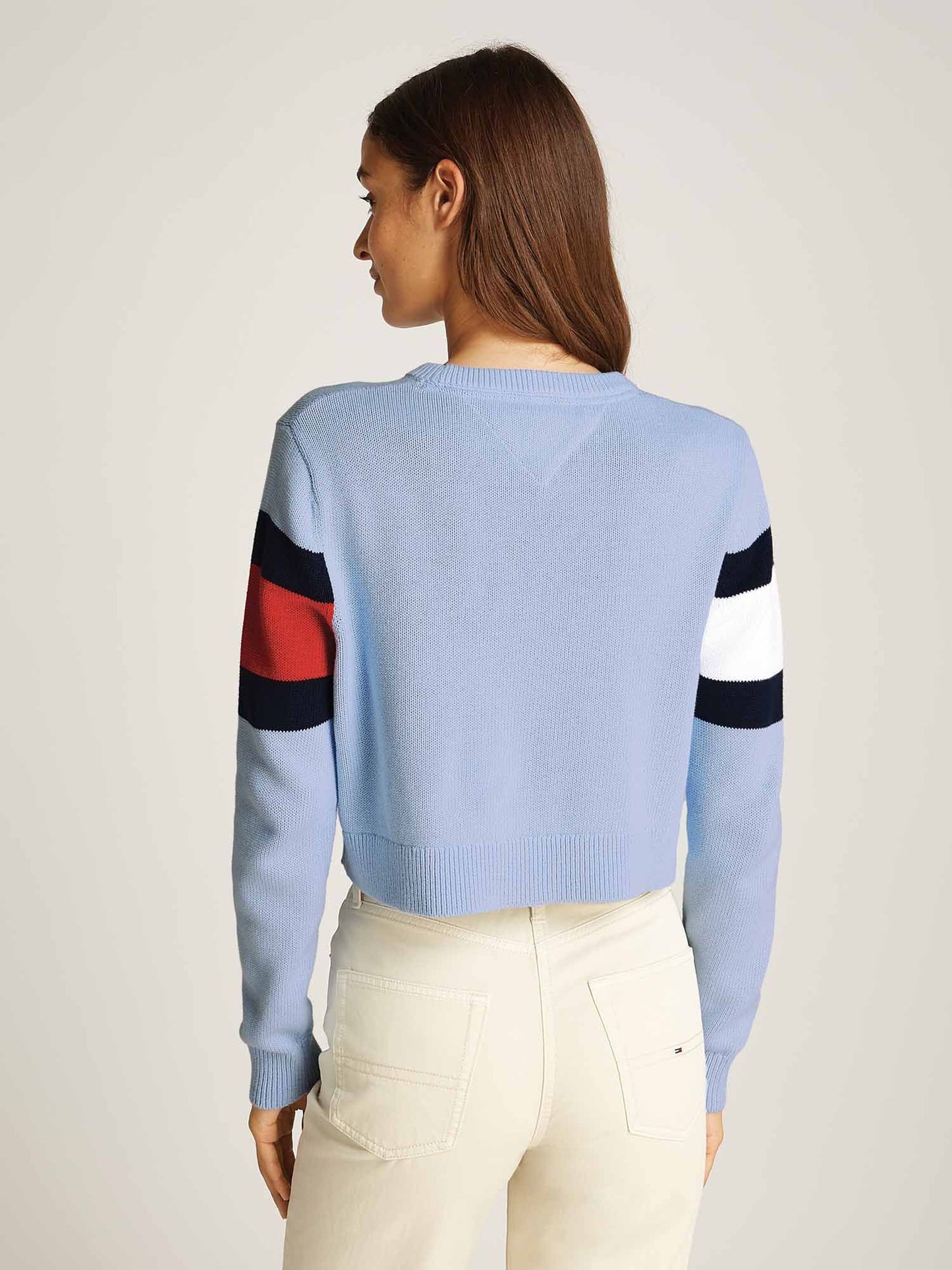 TOMMY JEANS CENTER FLAG SWEATER EXT