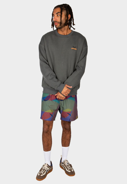 IRIEDAILY KENNEDY SWIM SHORTS