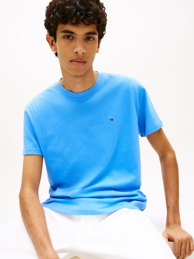 TOMMY JEANS REG SFLAG SS TEE