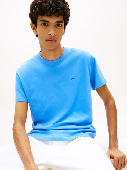 TOMMY JEANS REG SFLAG SS TEE