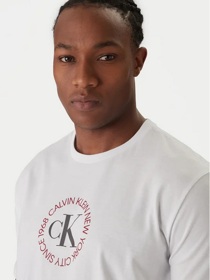 CAMISETA CALVIN KLEIN SS 30S WHSL