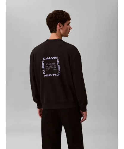 CALVIN KLEIN LS EU 350 TERRY GRAPHIC CN SWTSHR