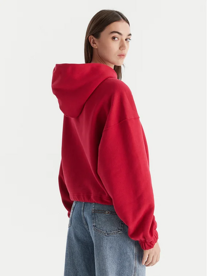 TOMMY JEANS W CRP LINEAR BLING HOODIE